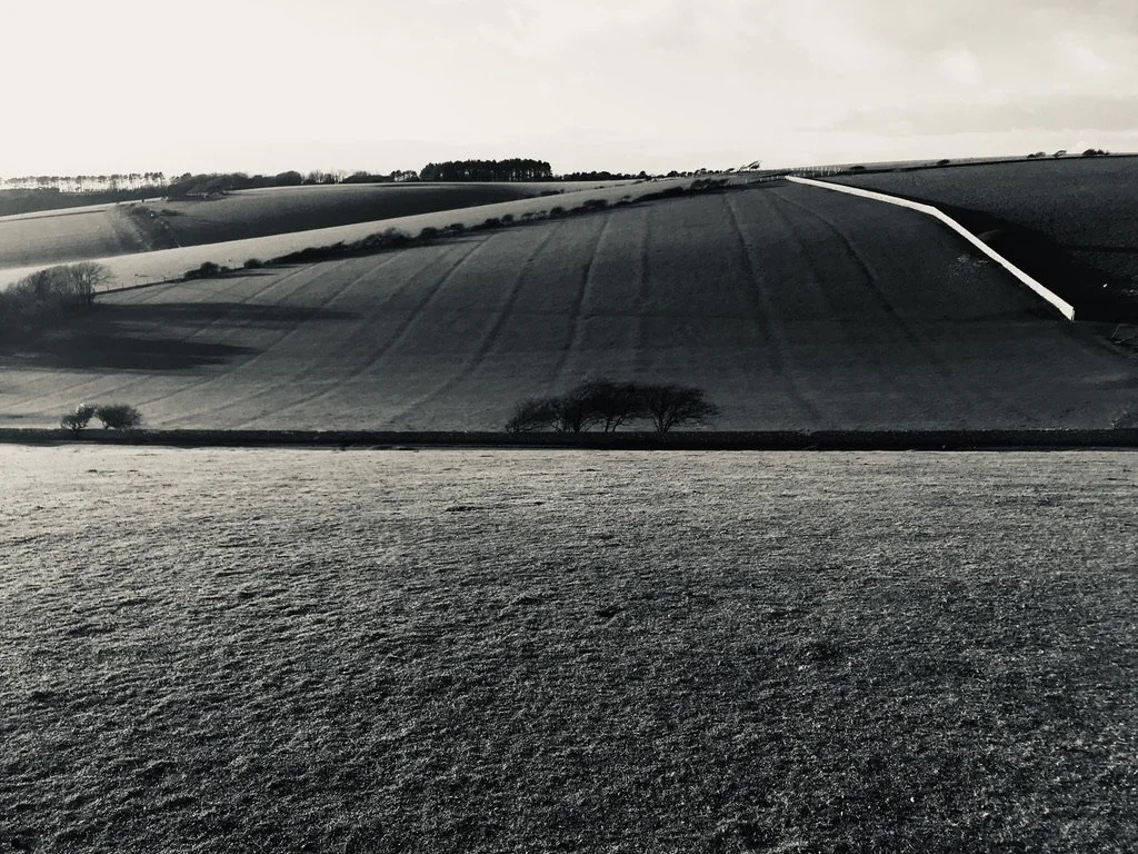 96400324-7B2C-48EC-AFF0-4BC40E651188_1_105_c.jpeg