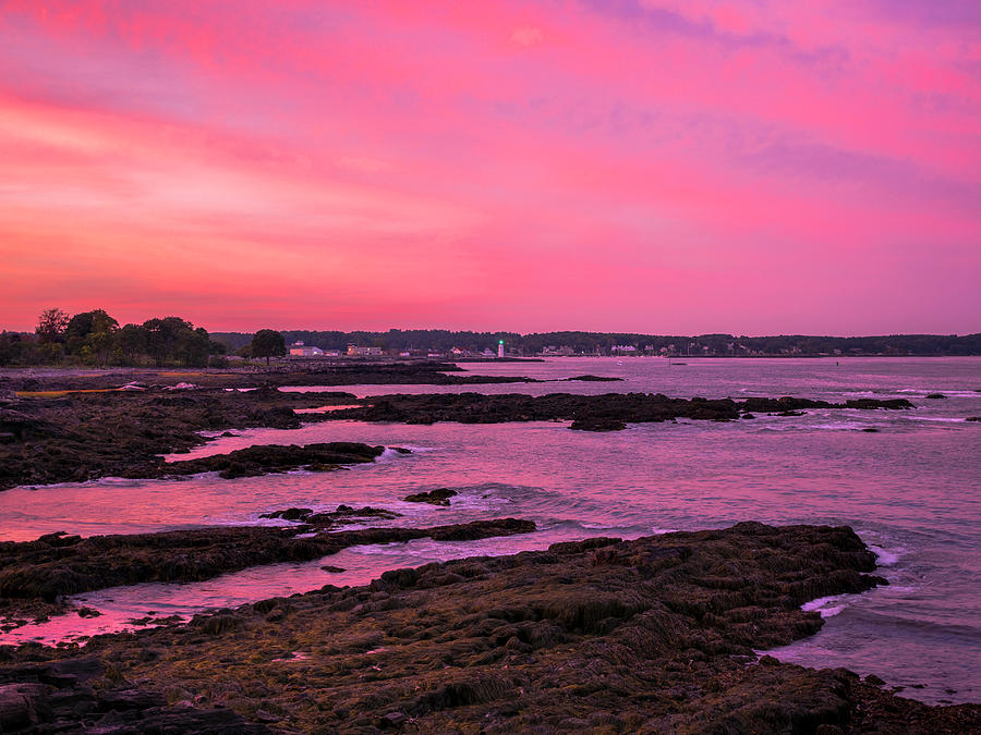 Pink Skies.jpg