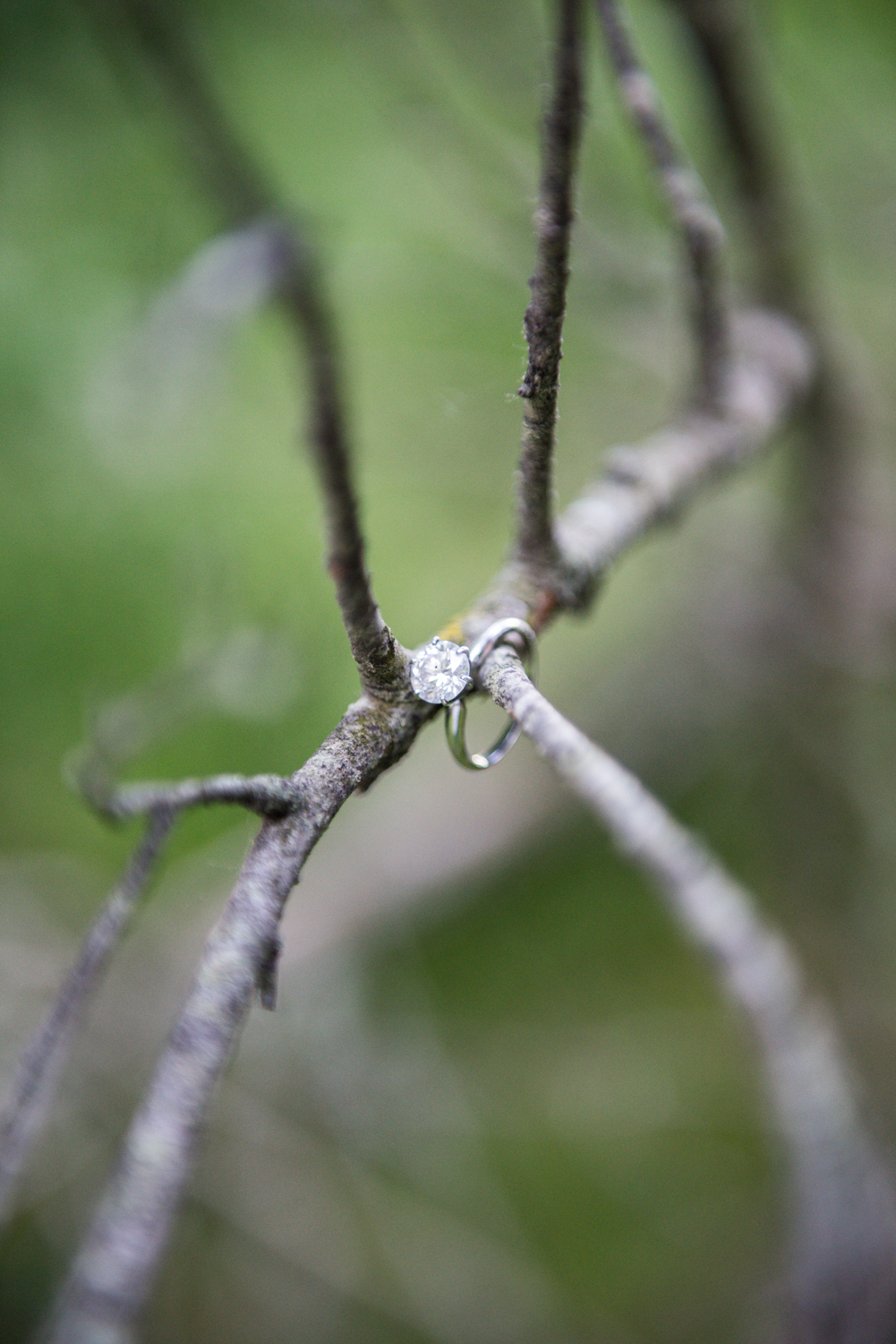 tods-point-park-greenwich-ct-engagement-session-1.jpg