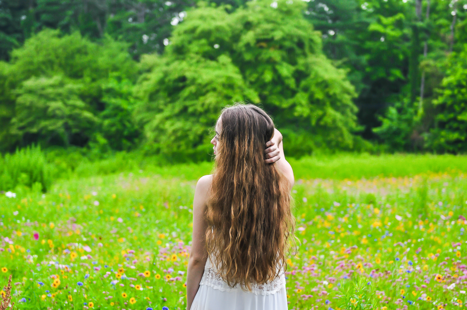 irwin-park-new-canaan-ct-portrait-session-4.jpg