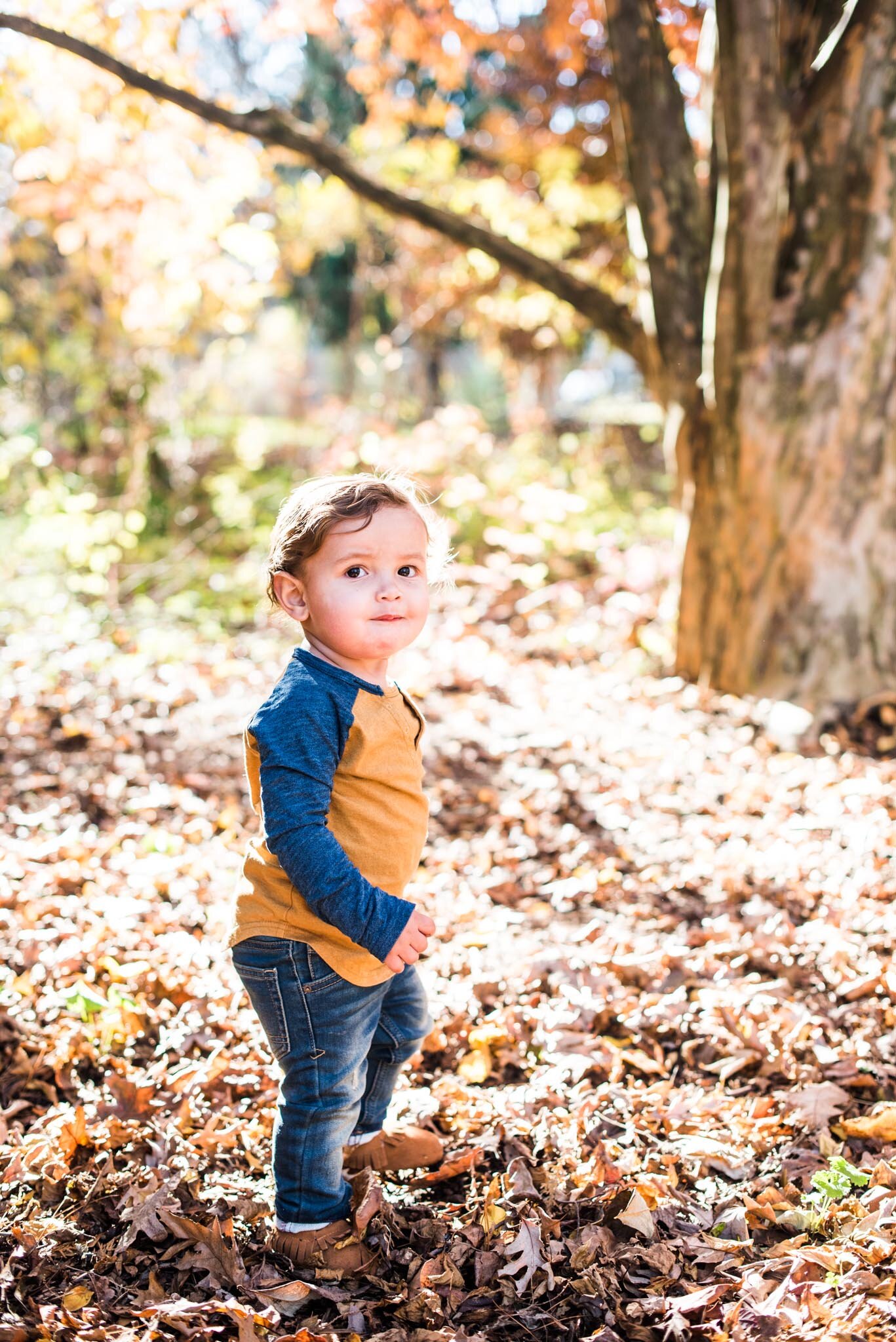 fall-mini-sessions-bartlett-gardens-stamford-ct-6.jpg