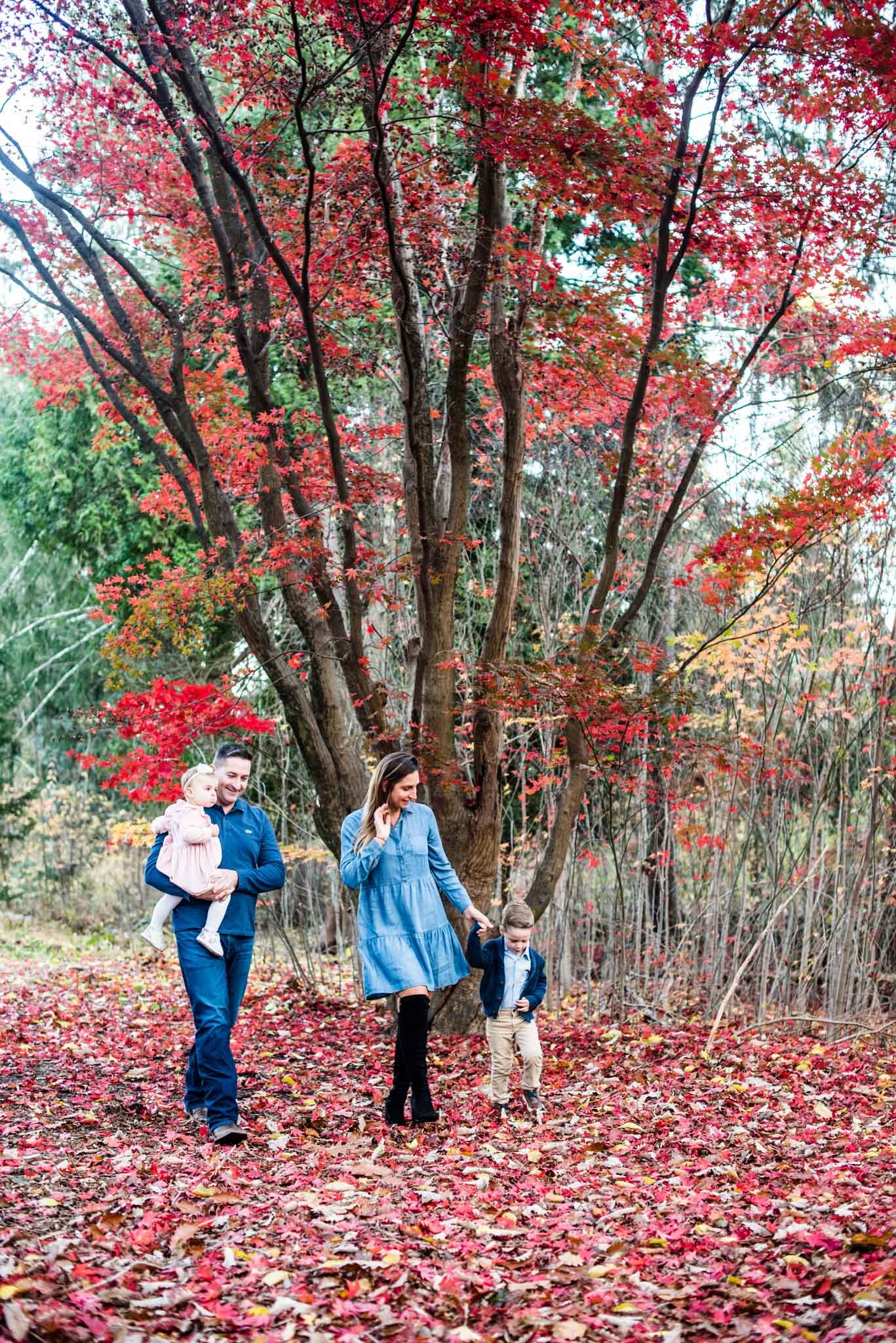 fall-mini-sessions-stamford-ct-2.jpg