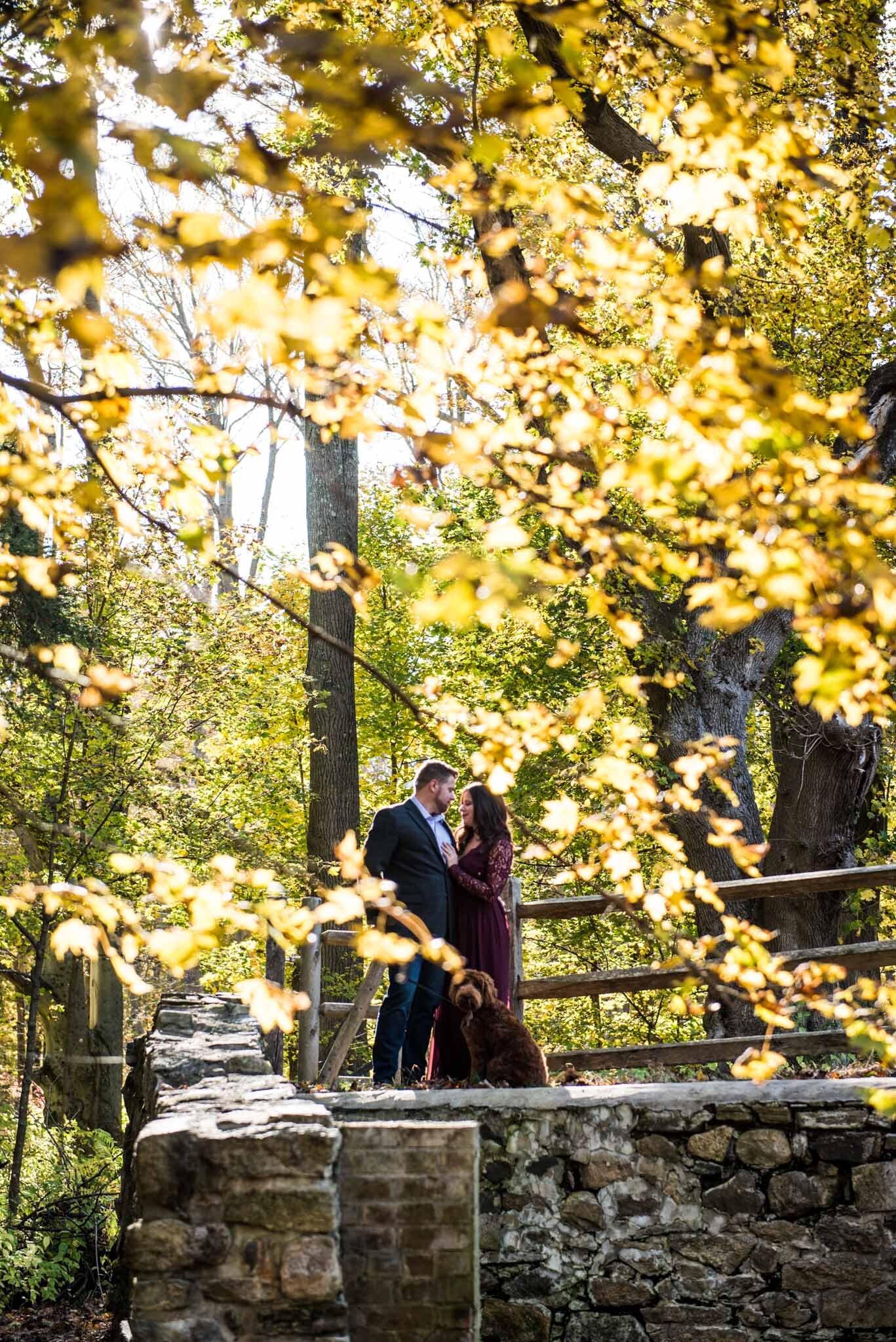 leon-levy-preserve-engagement-session-south-salem-ny-13.jpg