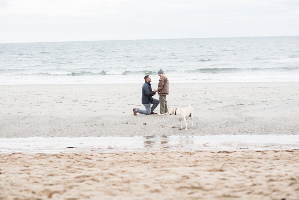 Tod's Point proposal - Greenwich CT.jpg