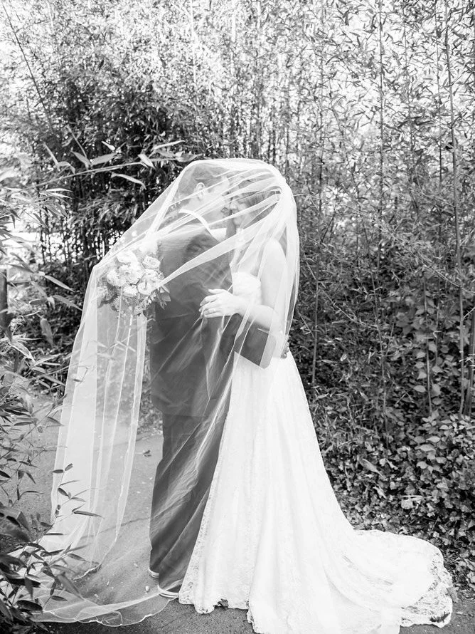 Wrapped in veil within bamboo trees of @ctbeardsleyzoo at their wedding. 

There&rsquo;s something nostalgic about these black and white captures. 

I feel like those are the images you would find in print at those old albums with photo corners &hell
