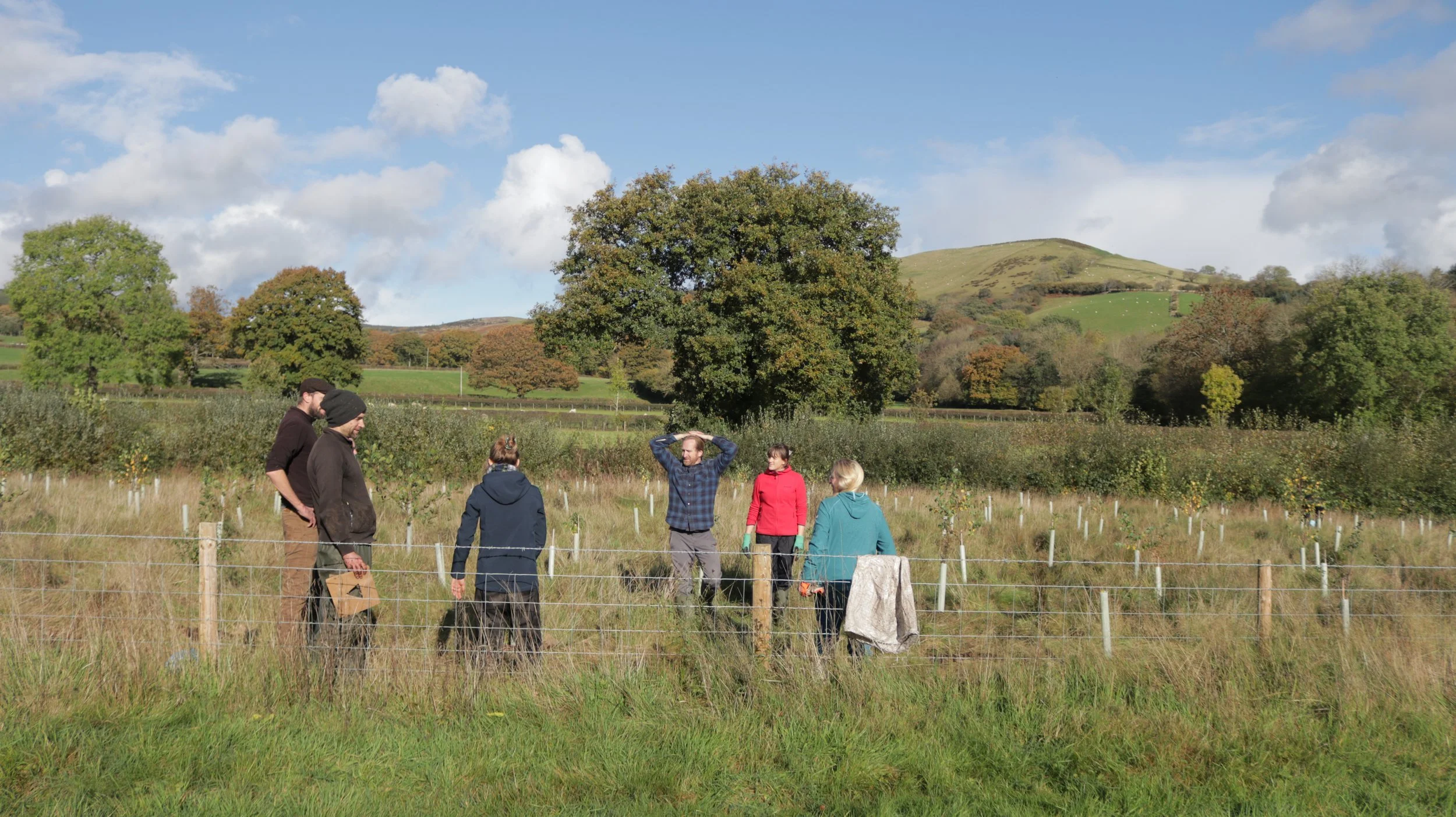 Volunteering in conservation: My experience at 9Trees