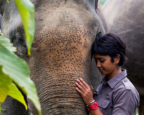 5 female conservationists you should know about!