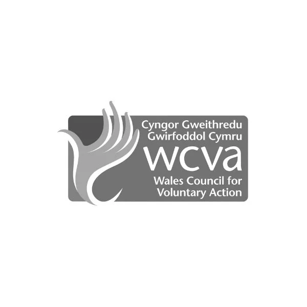 Wales Council for Voluntary Action