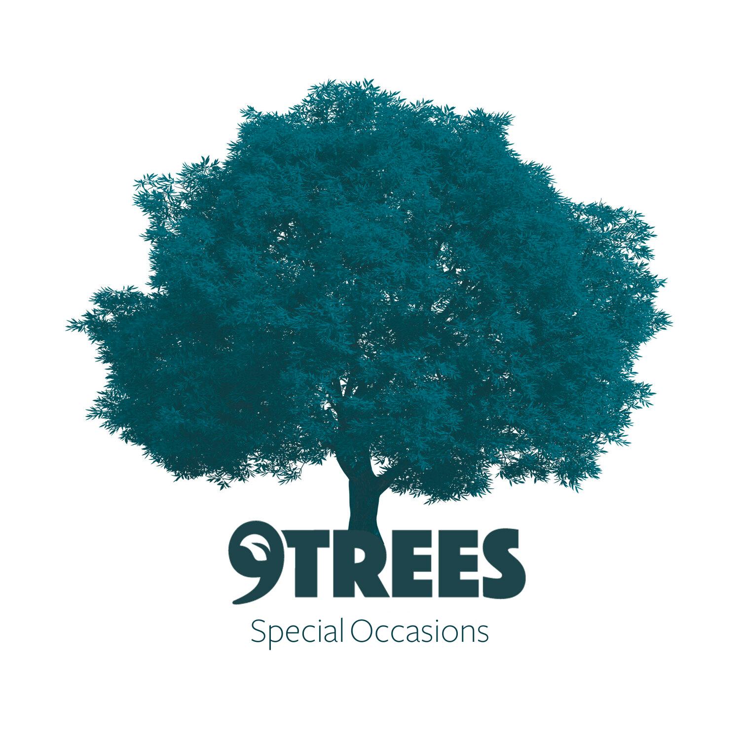 Gift a tree for any special occasions — 9Trees CIC