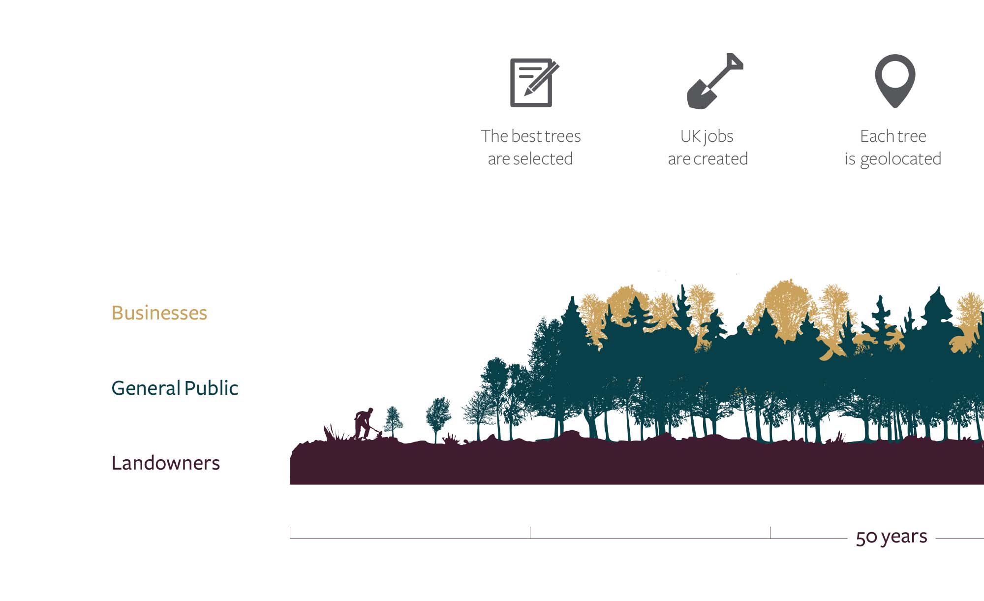 How 9trees work with business, landowners and general public to achieve their goals