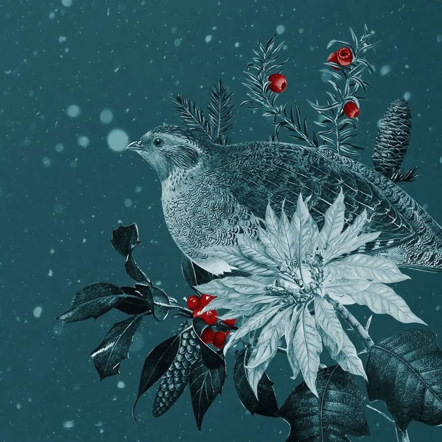 Wishing you a Merry Christmas and a Happy New year from all of us here at #9TreesUK