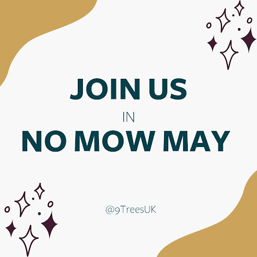 Join us for NO MOW MAY. Stop mowing your Lawn for the month of may to help promote wildlife and pollinators. Many people are tempted to cut their lawns once the sun is shining and the grass is growing to discourage weeds from growing in their lawns. 