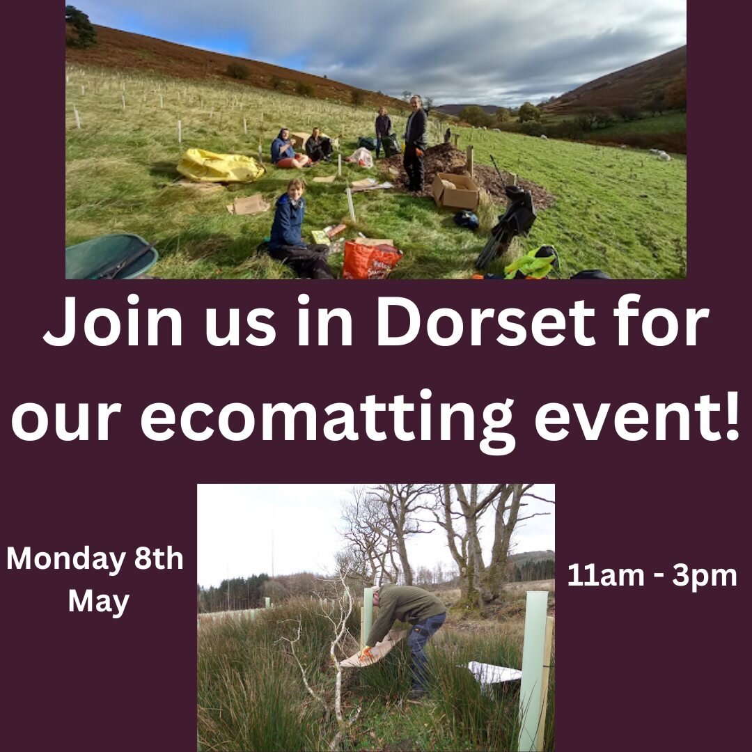 As part of @thebighelpout come and join our volunteer ecomatting day in Dorset this bank holiday Monday 8th May. Come and help place down wood chip and cardboard around our saplings to help suppress the weeds and gives them the best chance of survivi