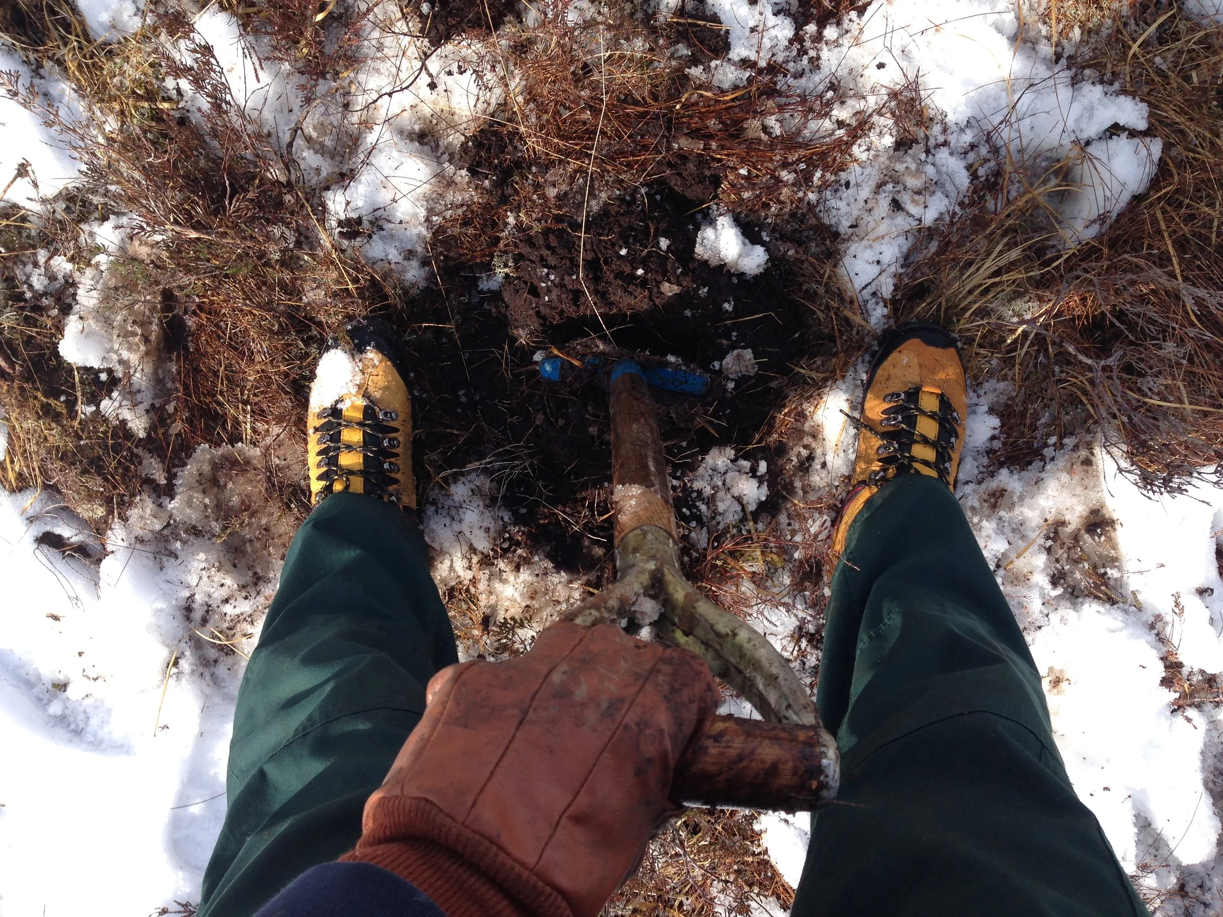 Environmental Perspectives Episode 2