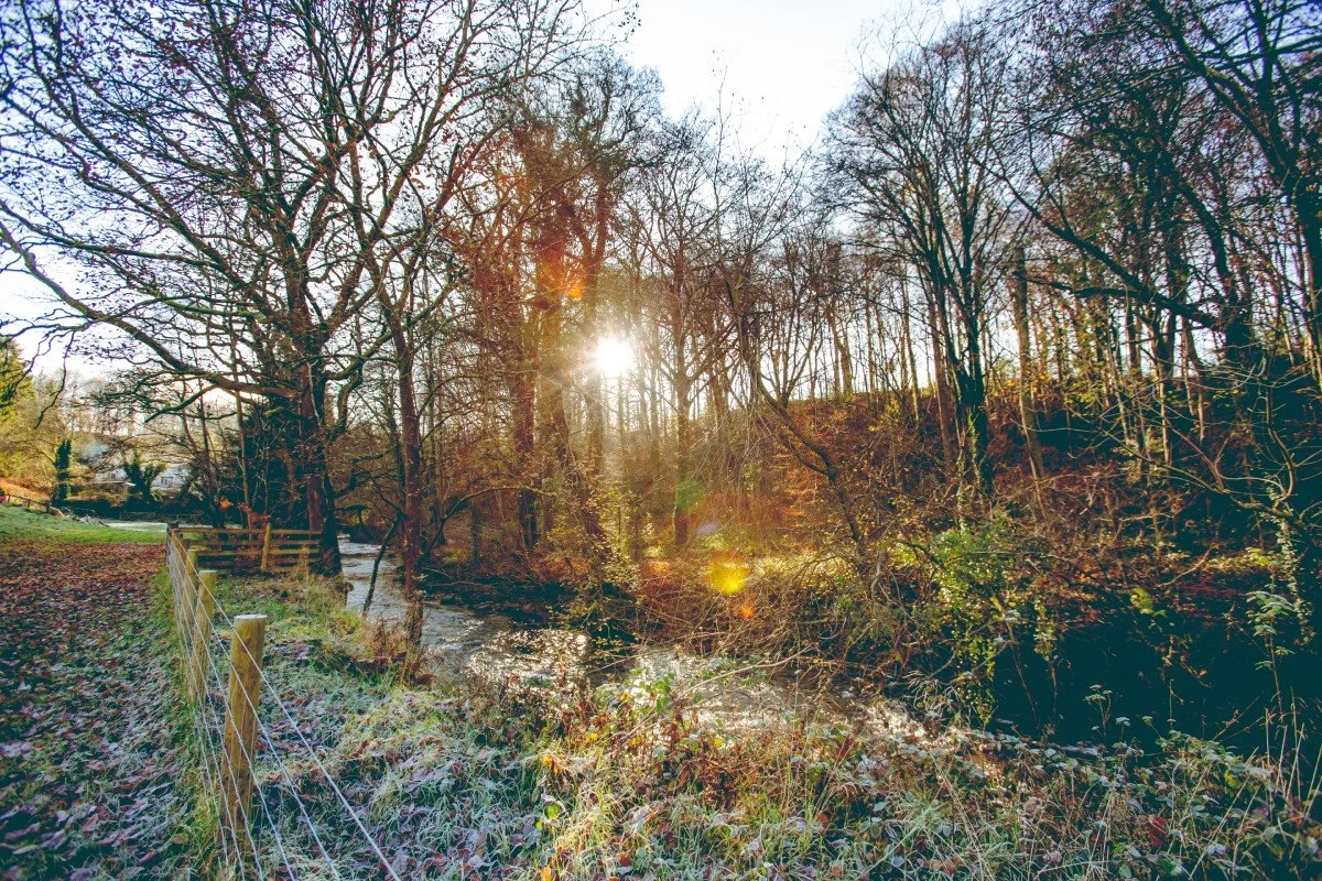 Biodiversity Fund for Business