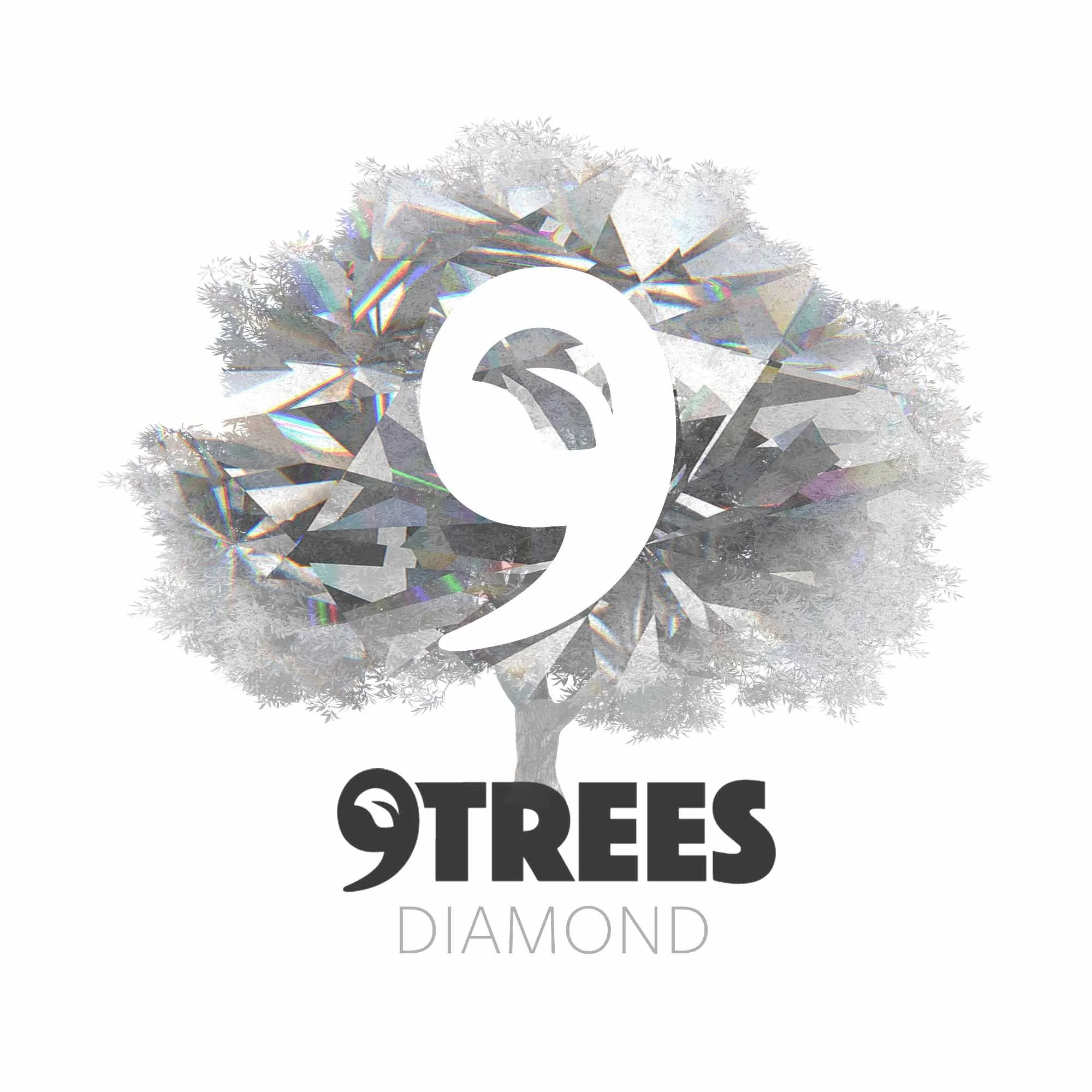 9Trees - Business - DIAMOND- Bold.jpg
