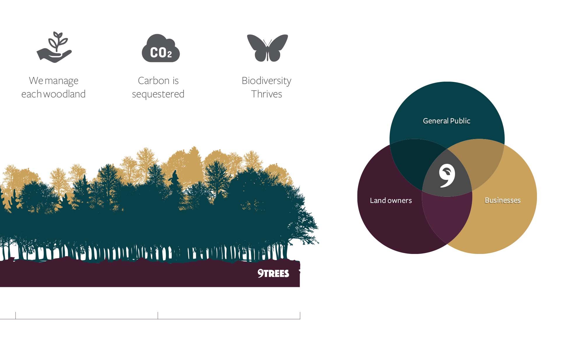 9Trees - Process