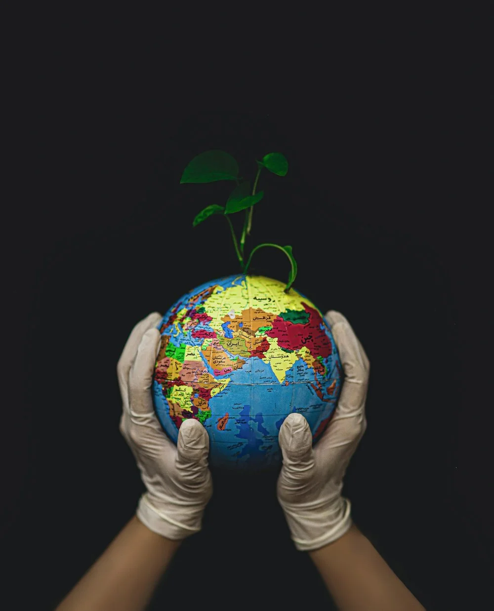 Earth Day 2024: Reflections on global environmental progress