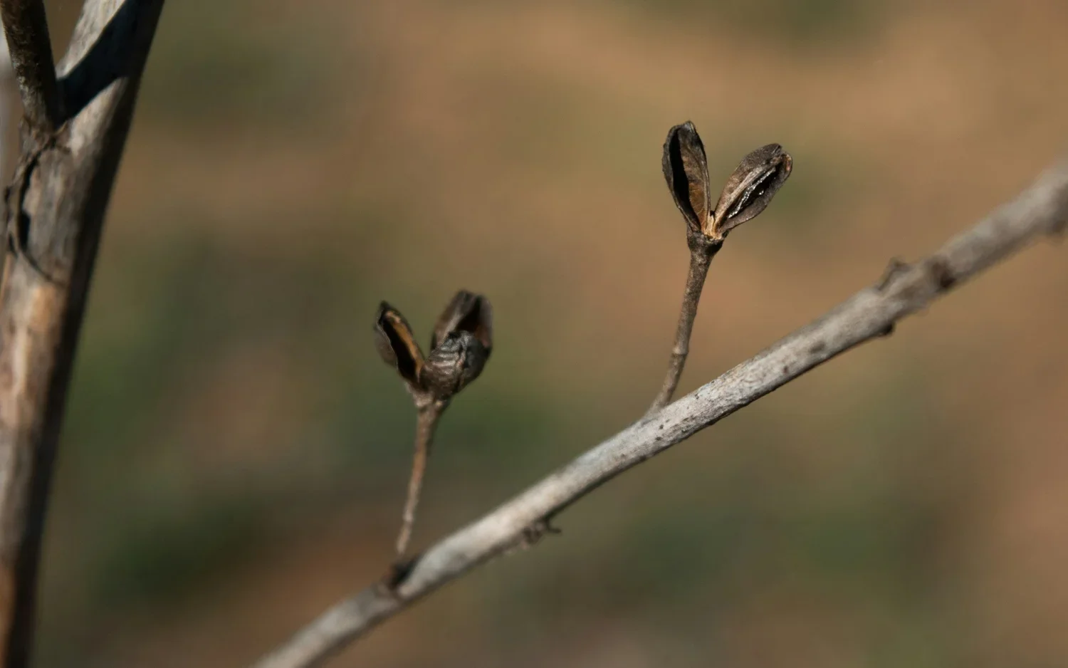 Environmental Perspectives episode 4