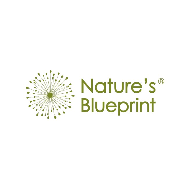Natures Blueprint at Ashton Court (Part of Festival of Nature)