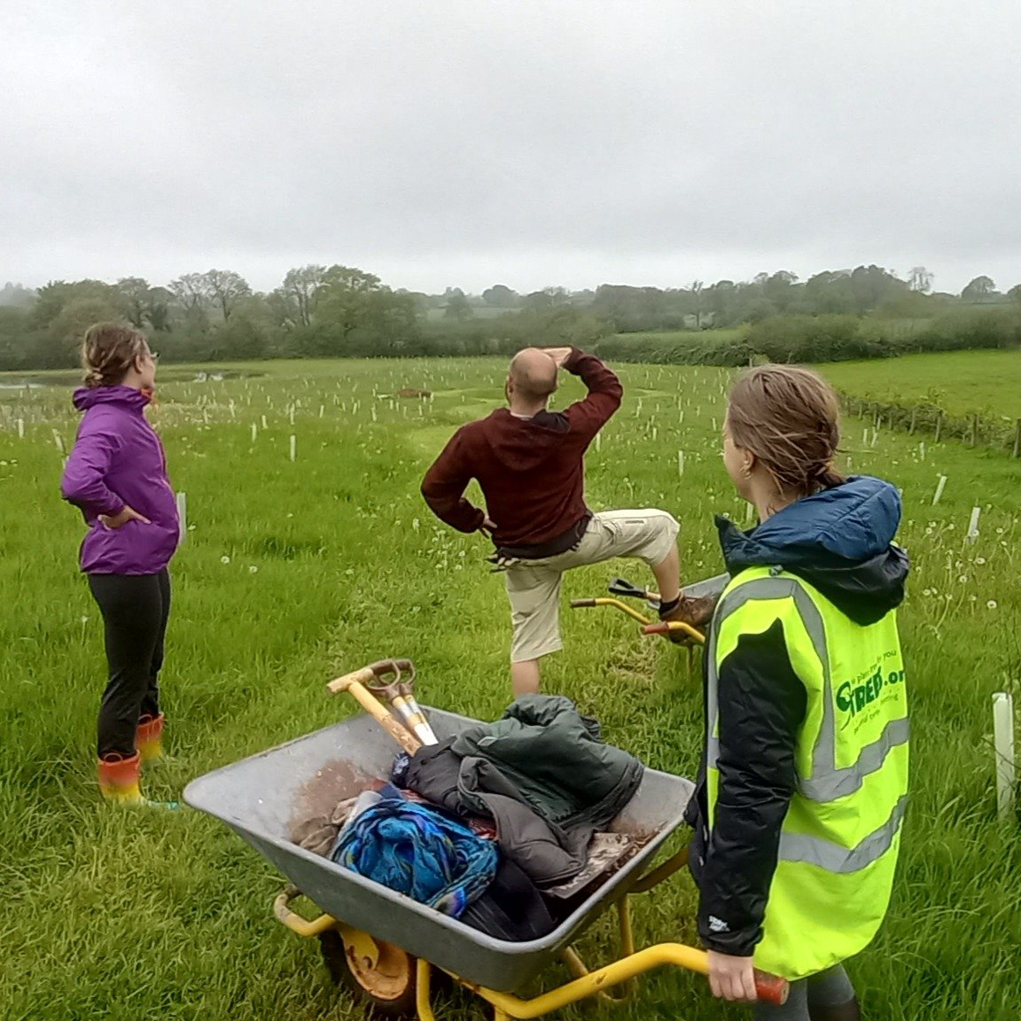 🌳 Got land? 🌳

We'll fill it with native trees

For free!

If you're a farmer, smallholder, or landowner in the UK with space going to waste or in need of bringing the land back to life; we want to hear from you!

9Trees CIC covers 100% of the cost