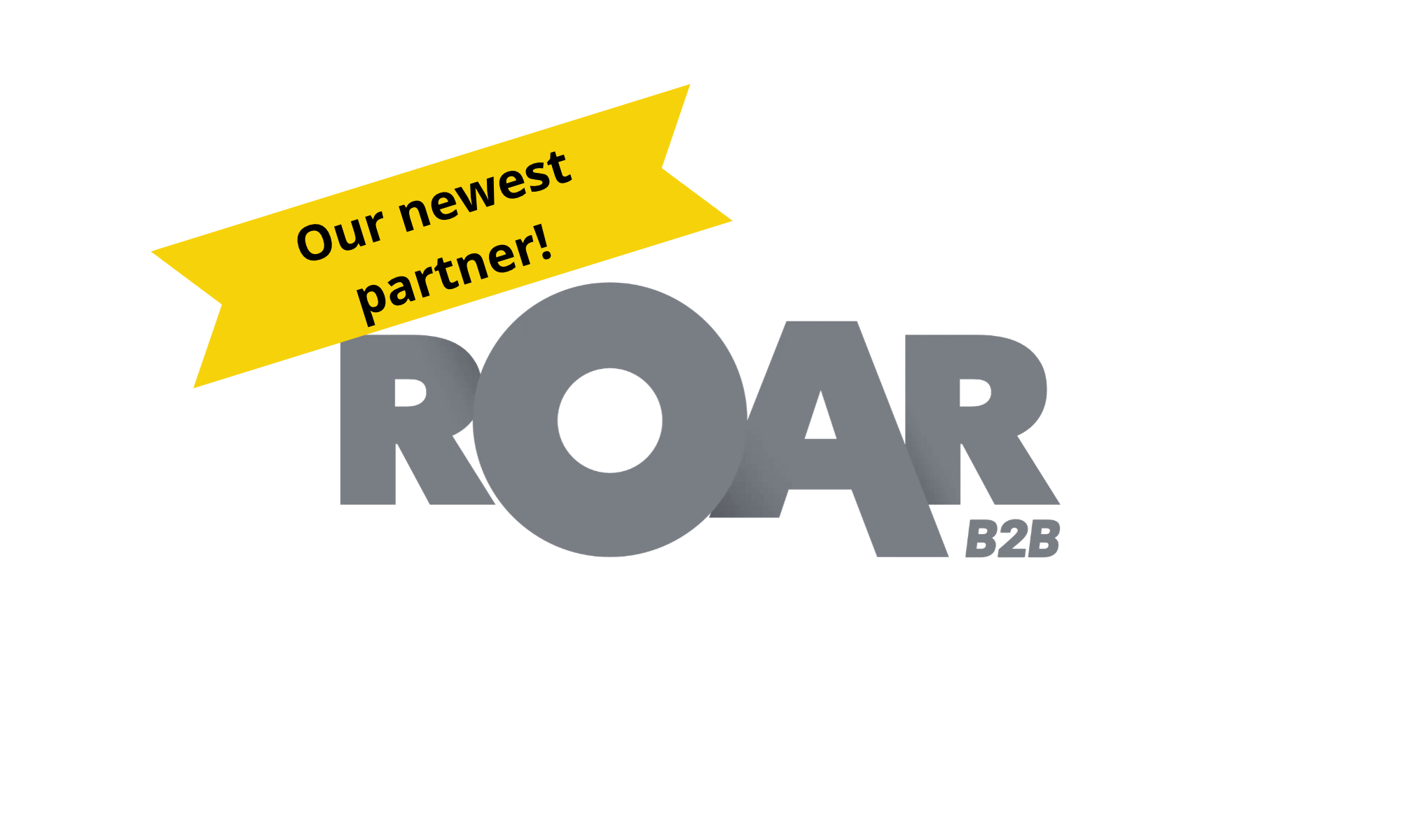 ROAR B2B
