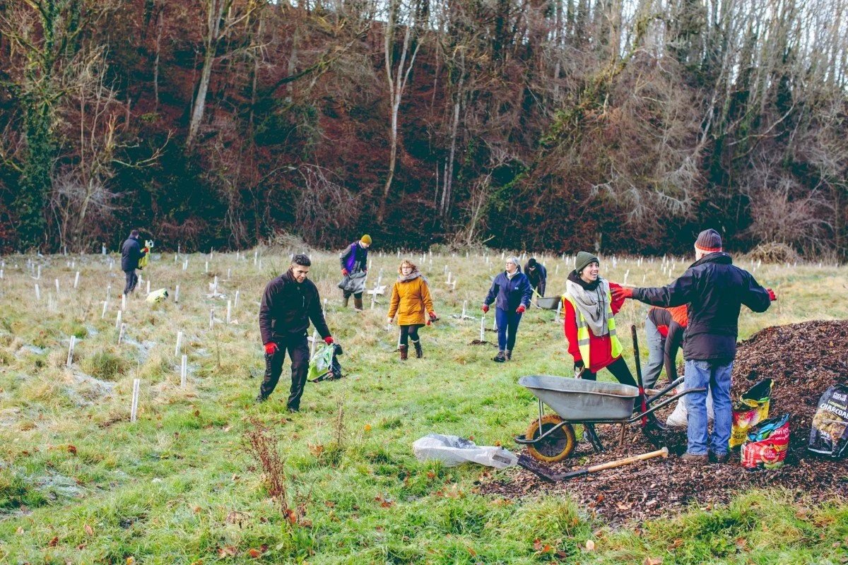 Several people in a green field with newly planted trees. There is a big pile of mulch and a wheel barrow with two people smilling whilst talking.