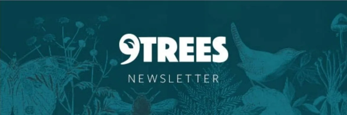 9Trees Newsletter August 2020 banner