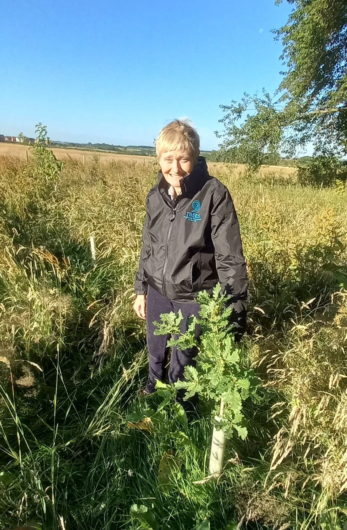 9Trees planting site