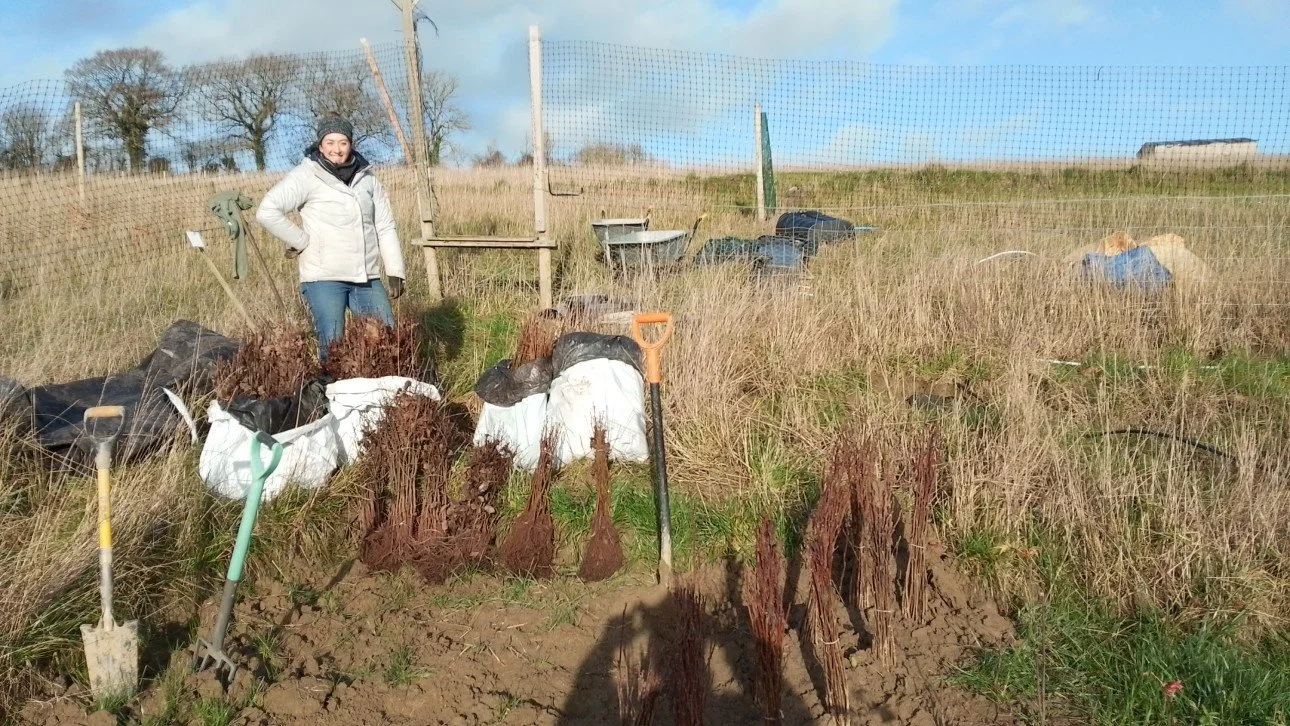 Kate healing trees at Third Wood