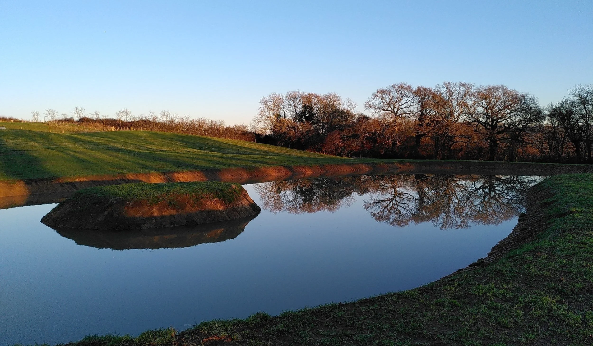 Nature reserve pond before tree planting, Dorset