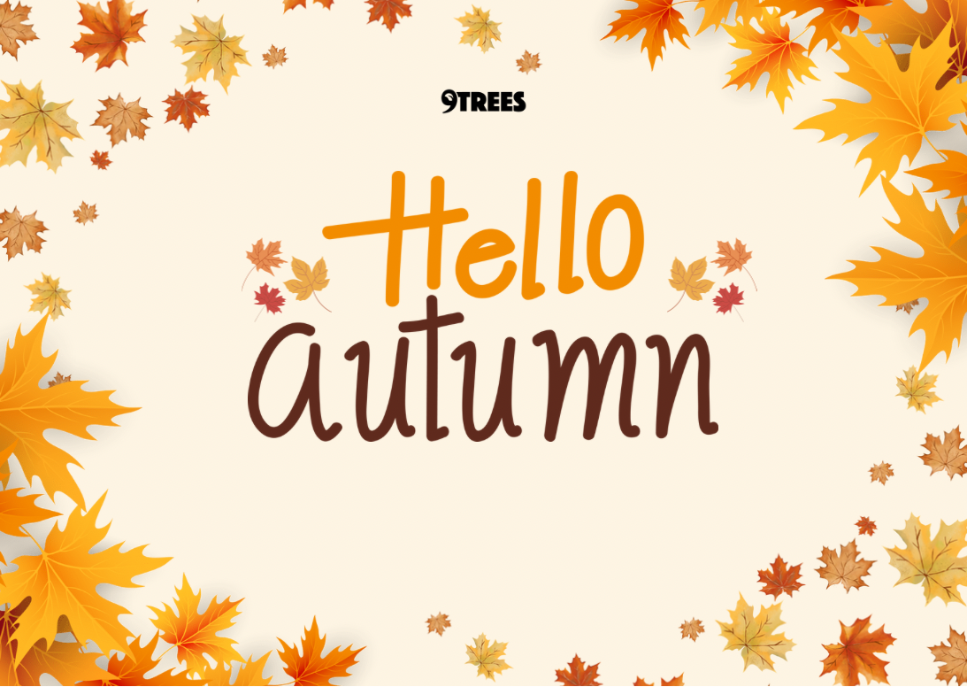 autumn-newsletter-2024_header.png