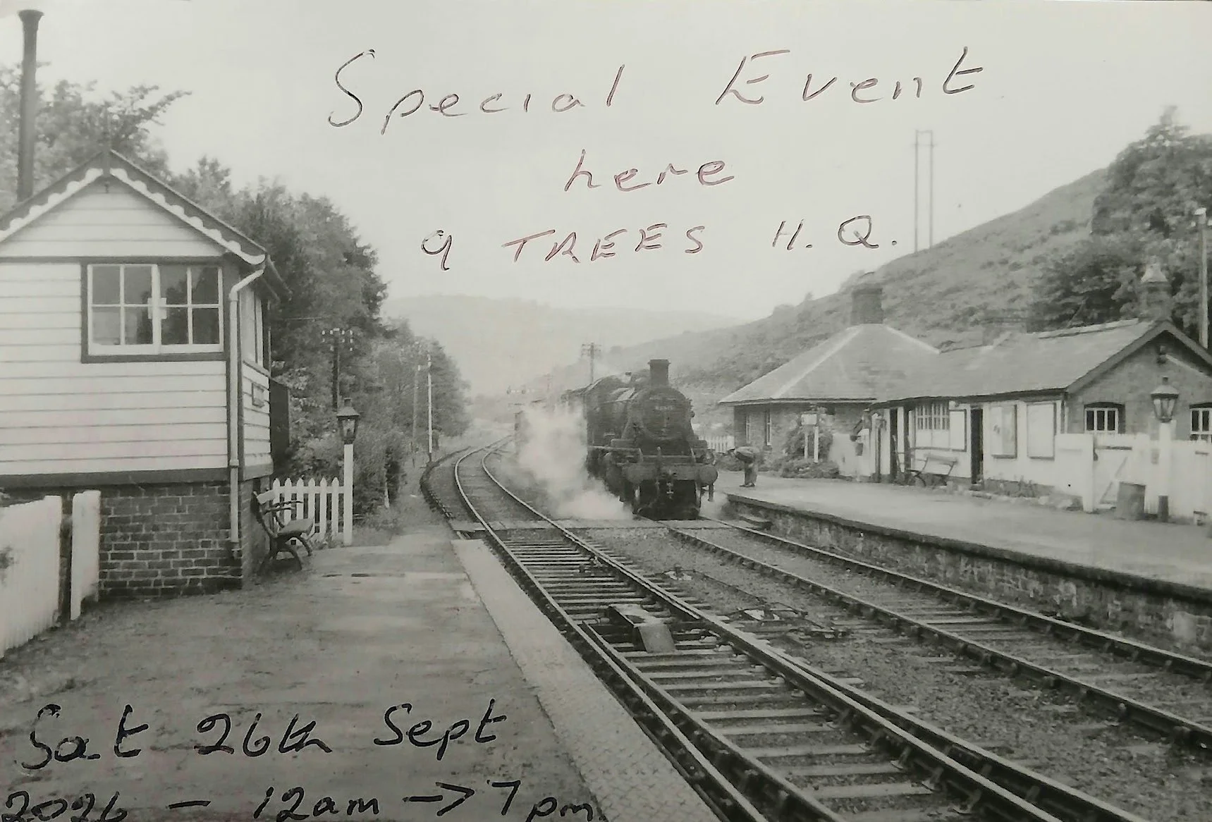 9Trees Special Event