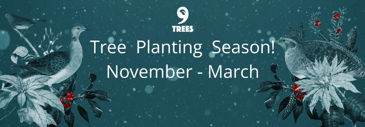 Autumn into Winter Newsletter