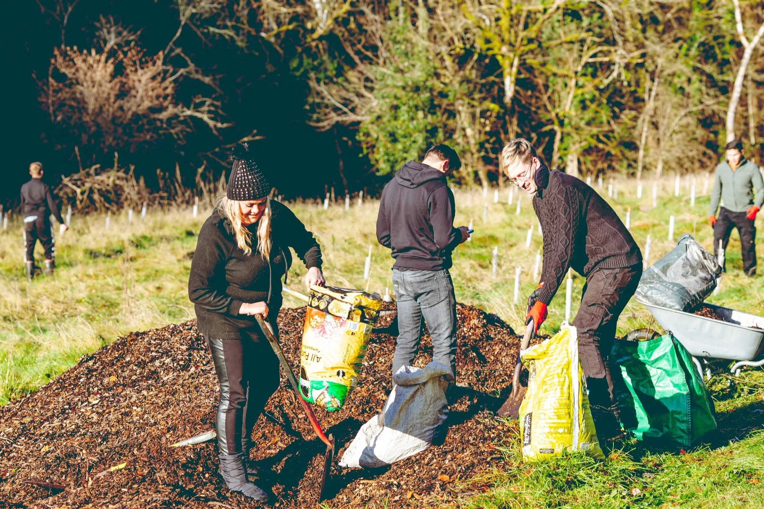 3 people standing in a field with bags of mulch and spades planting trees and mulching them