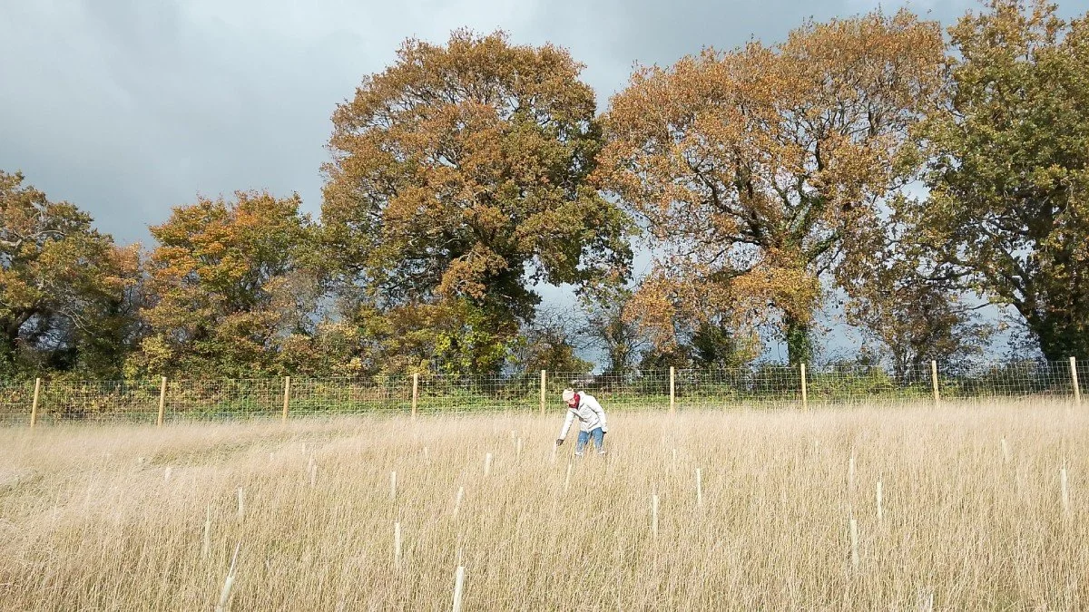 Third Wood - Bristol, Somerset, Chew Magna