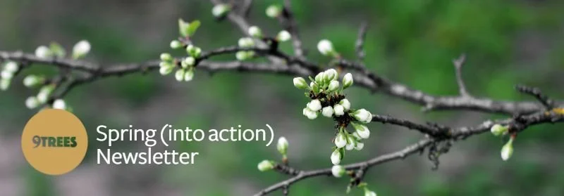 Spring into Action Newsletter