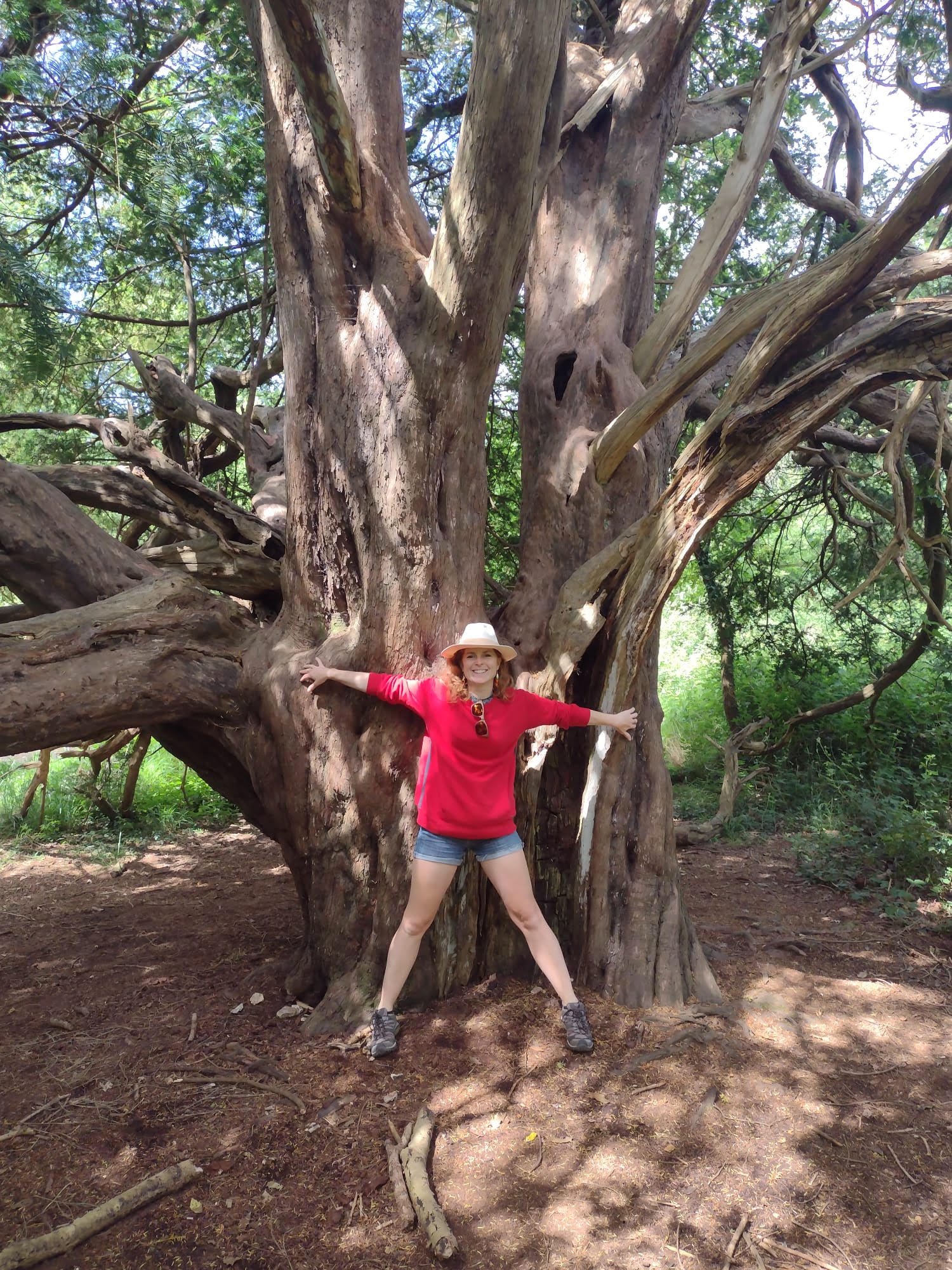 Plant Trees for Molly's 50th!