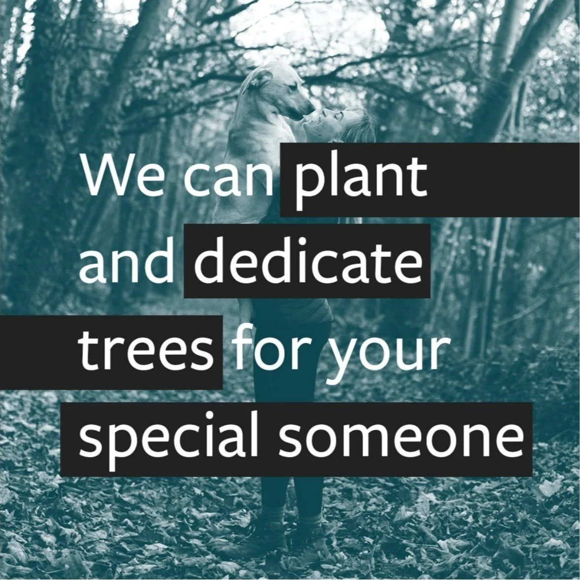 We can plant and dedicate trees for your special someone