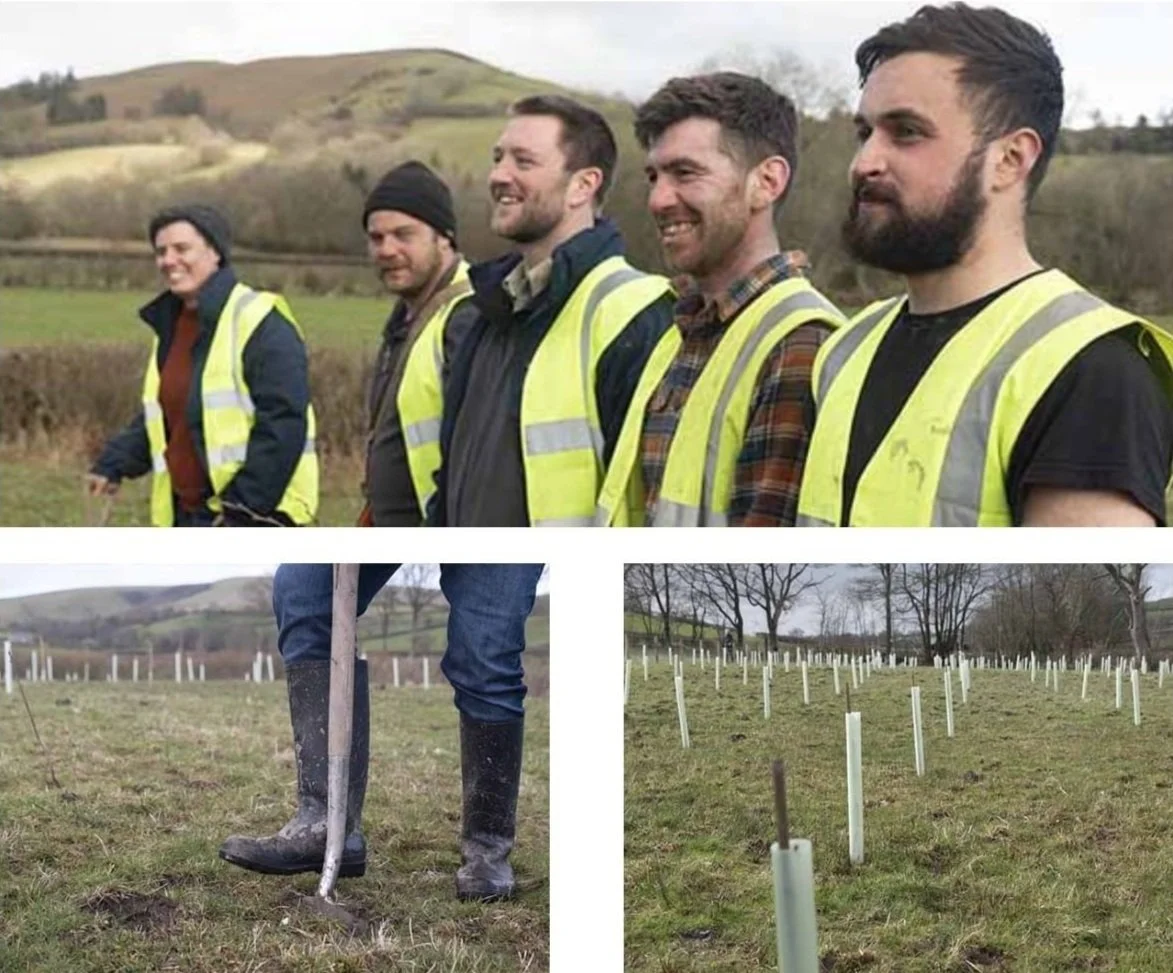9Trees team planting trees and saving woodland