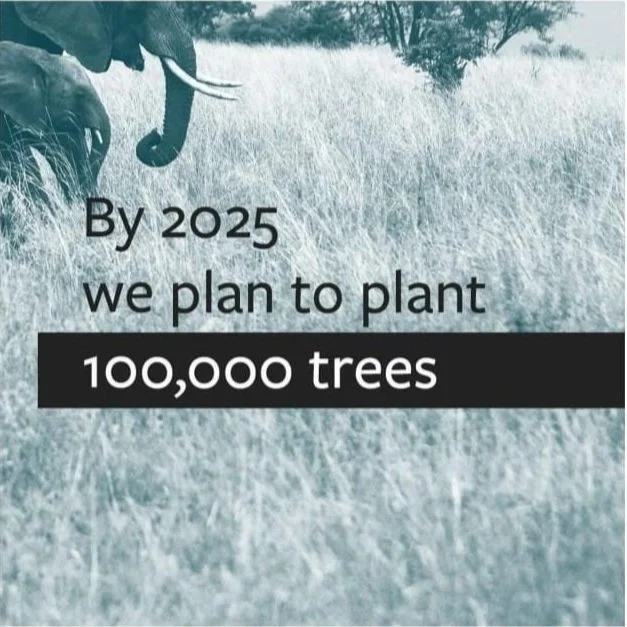 By 2025 we plan to plant 100,000 trees