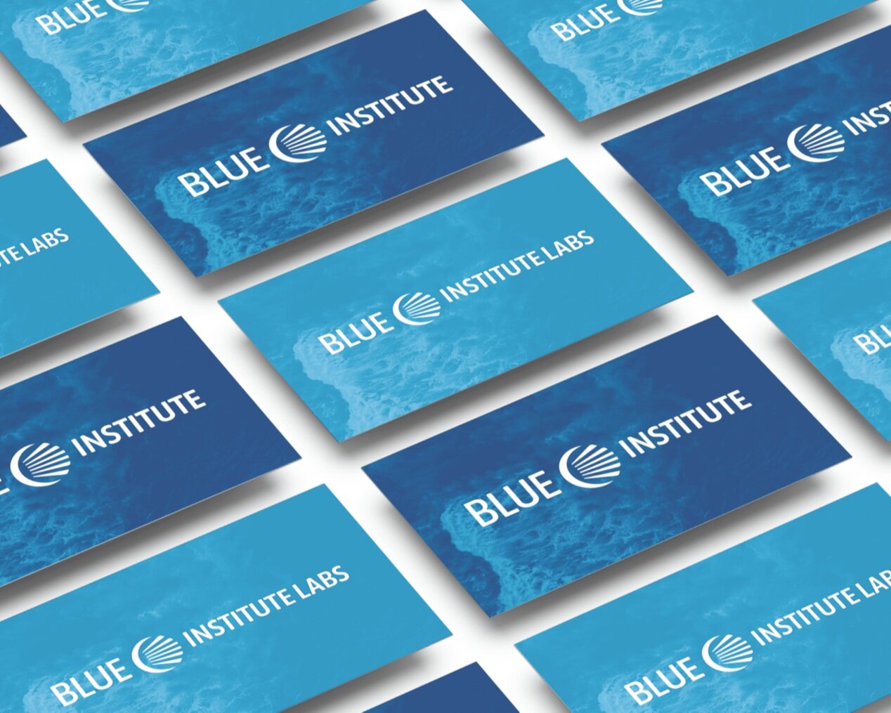 Blue Institute | Case Study