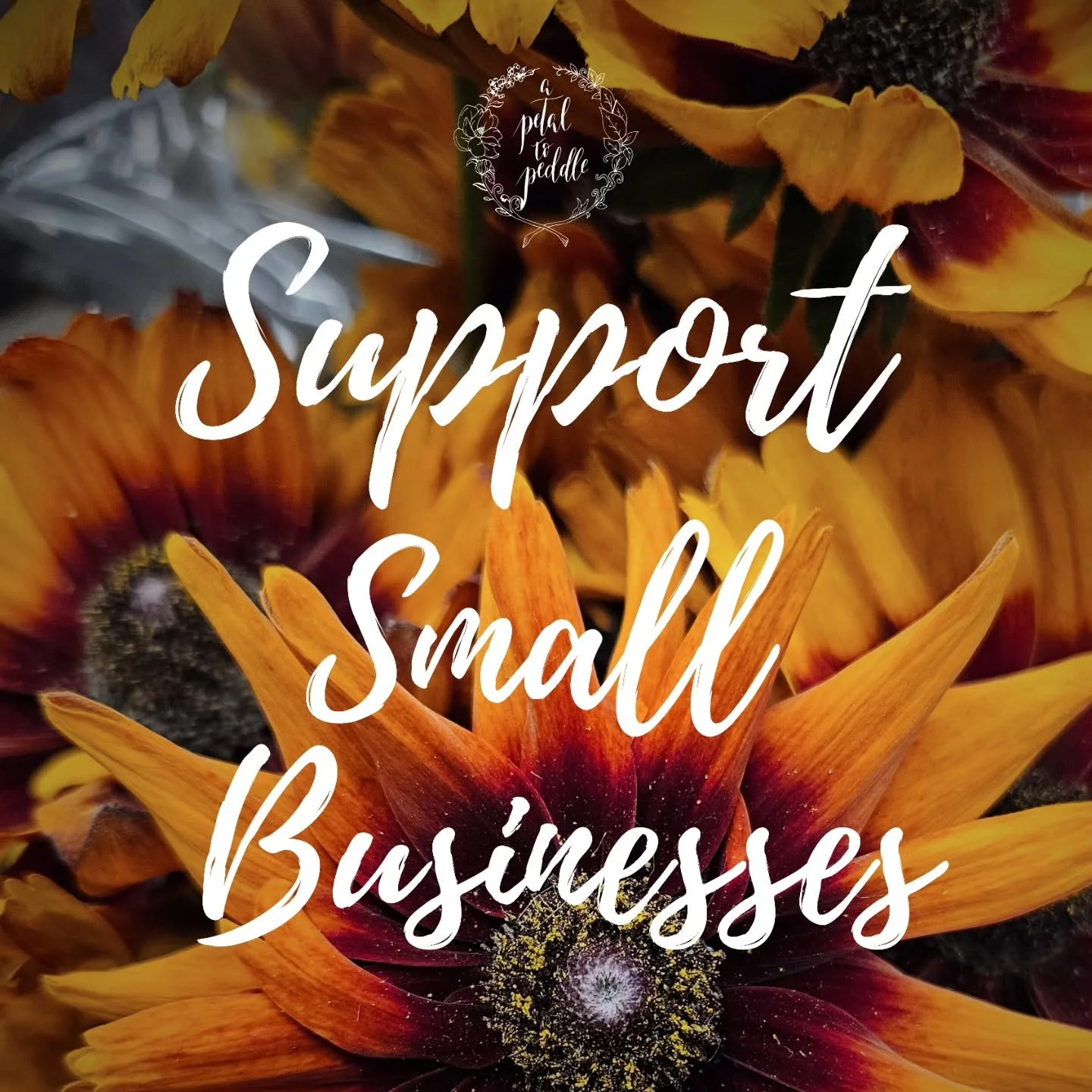 If you&rsquo;re like us and JUST OVER the constant ads for Black Friday sales and holiday shopping guides featuring those large retailers&hellip;. can we suggest putting your time, energy, and money BACK into your local communities. Supporting small 
