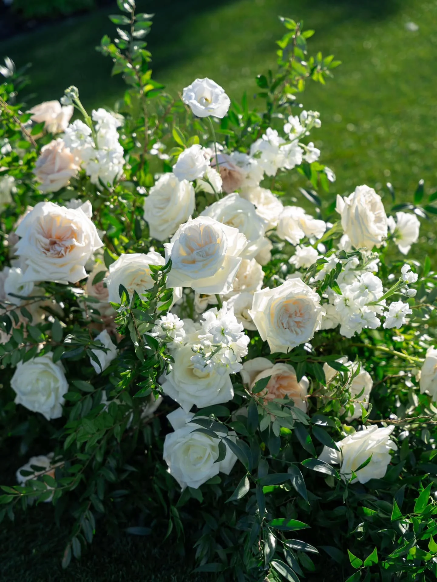 A month of petals, early mornings, and the profound privilege of making beautiful things for people on the most important day of their lives. Spring season is open. If you are dreaming of flowers that feel like this, we would love to hear from you!

