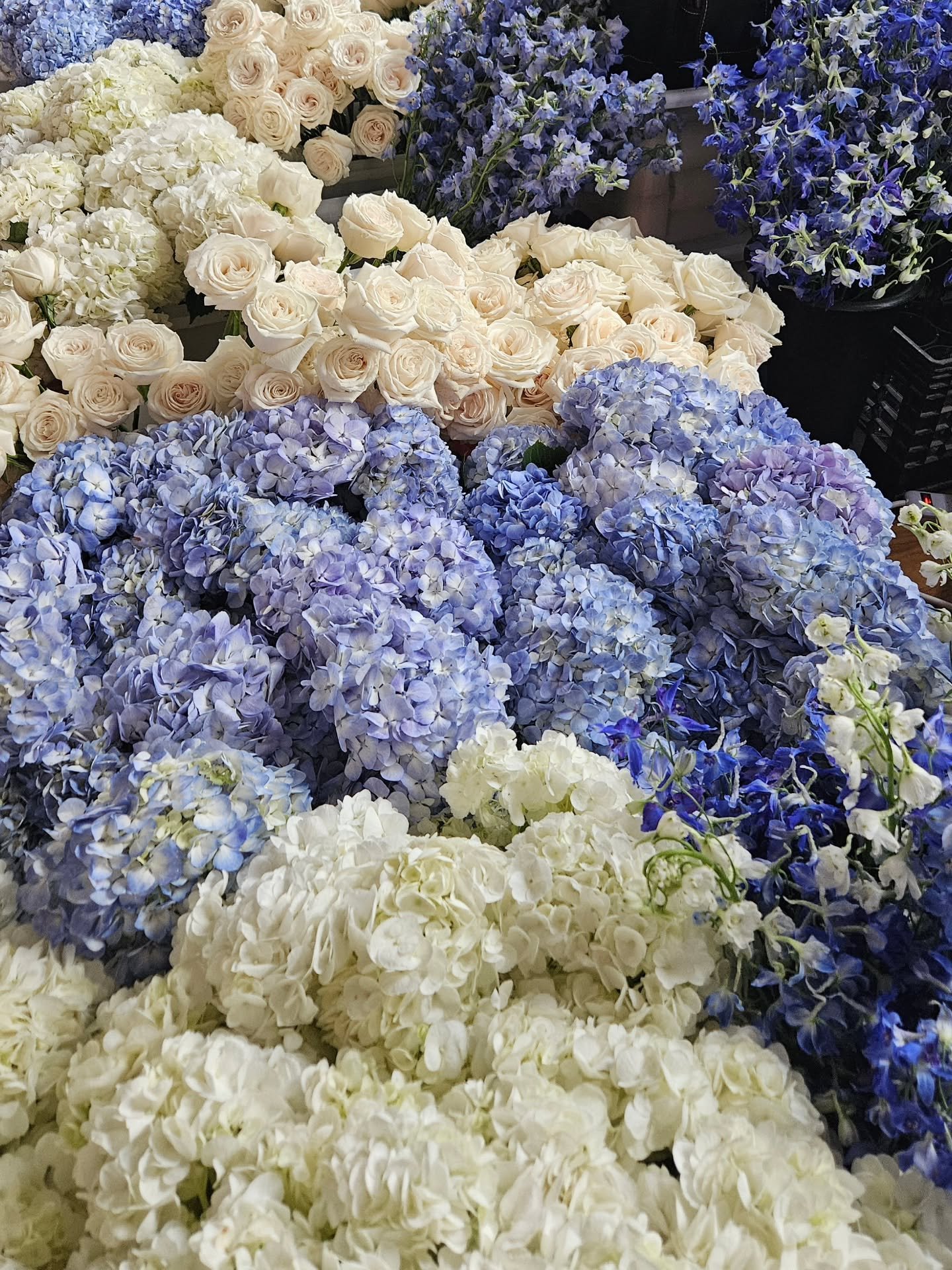 Sea of blue and white, incoming for today's gorgeous wedding!

#sustainableflorals #luxuryweddingflorist #njweddings #blueandwhitewedding #tillinghouse