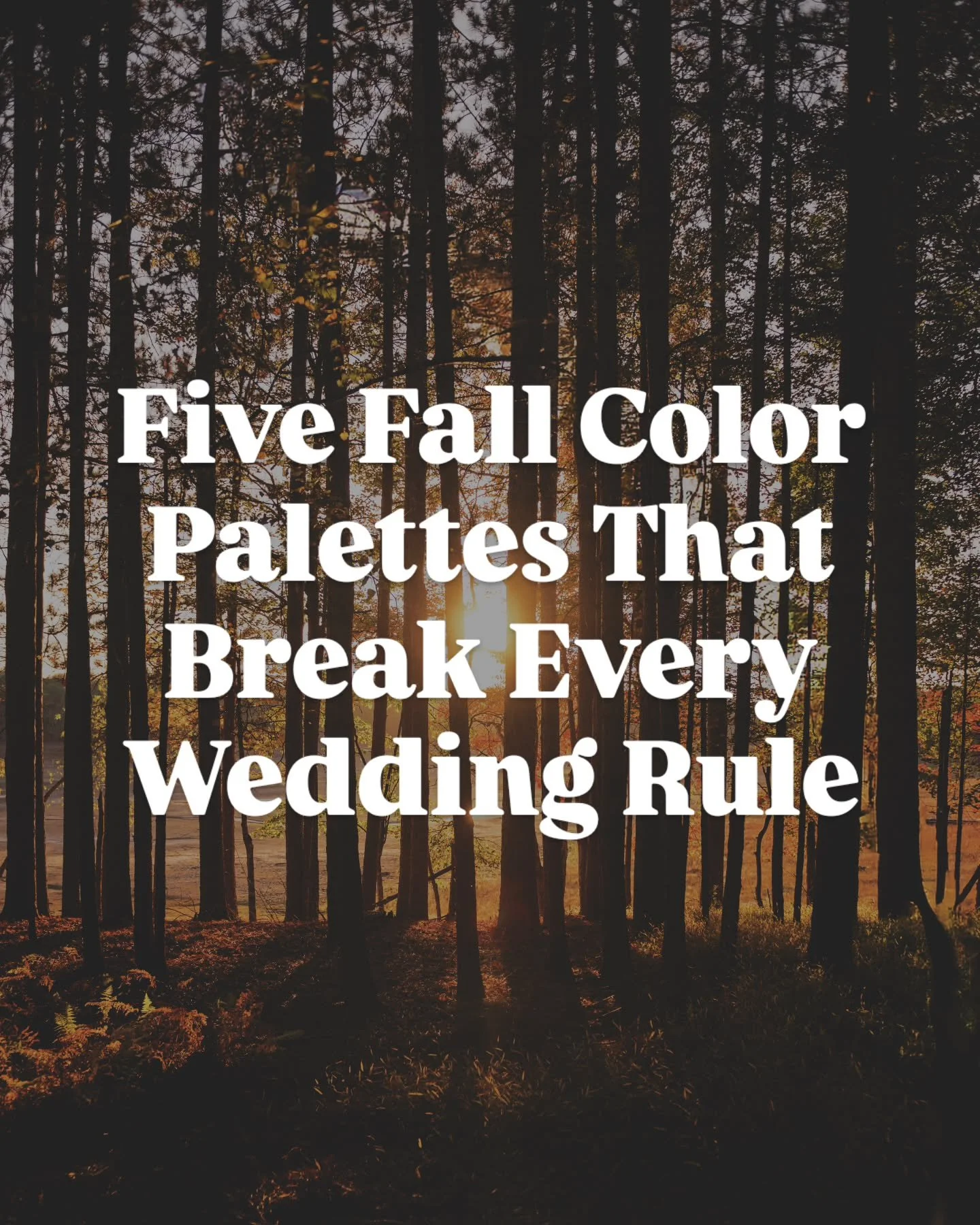 Every Rule has an exception. These 5 palettes are proof 👉

Which is your favorite? Tell us in the comments below!

#njweddingflorist #hudsonvalleyweddings #nycweddingflorist #colorfulweddings #modernweddingflowers

The Golden Hour Couple
Burnt Citru
