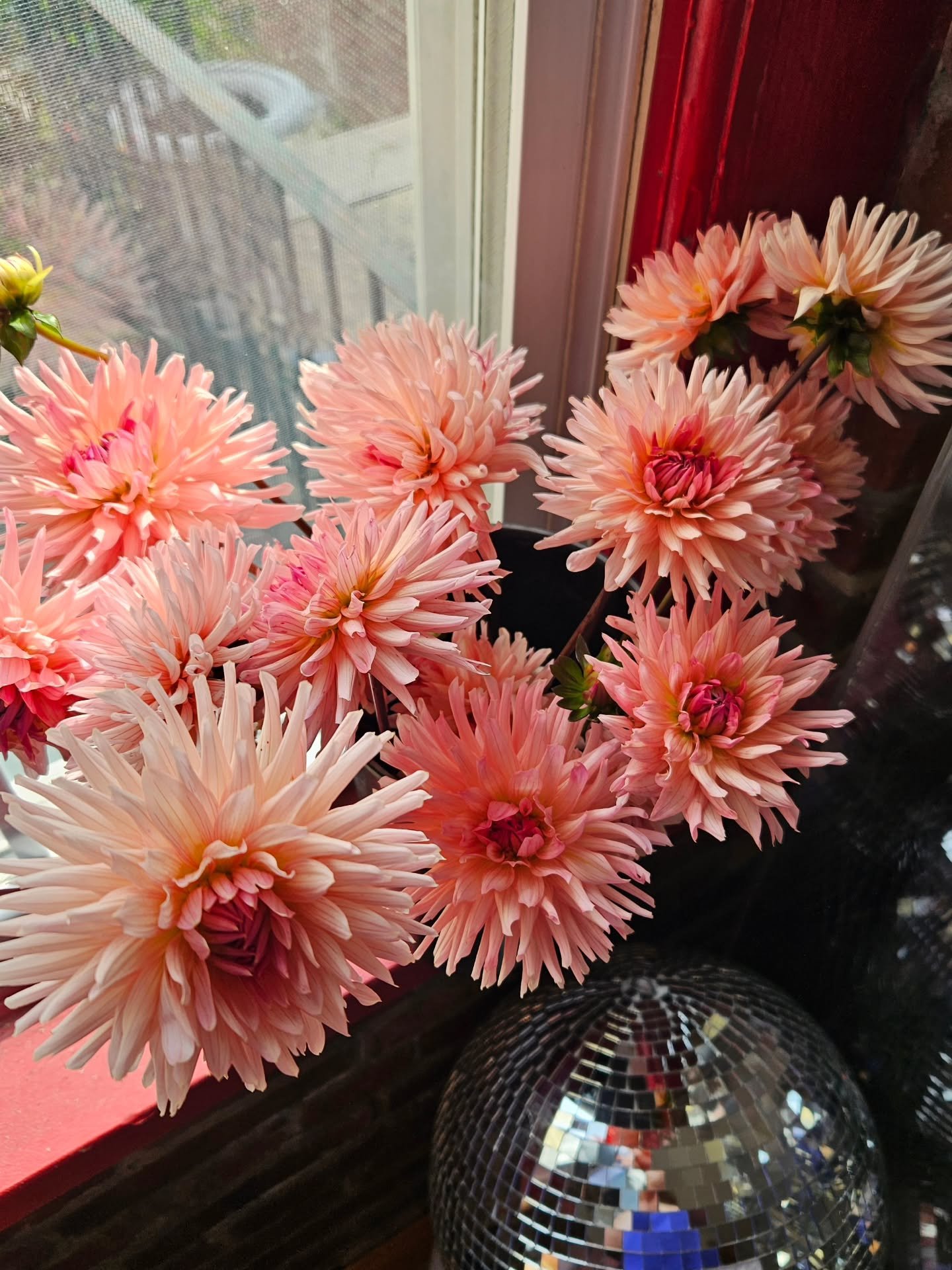 Late summer calls for texture over perfection: dahlias, snapdragons, and movement pieces that feel gathered, not arranged.

#apetaltopeddle #floralfriday #sustainableweddingflorist #nycweddingflorist #luxuryweddingflowers