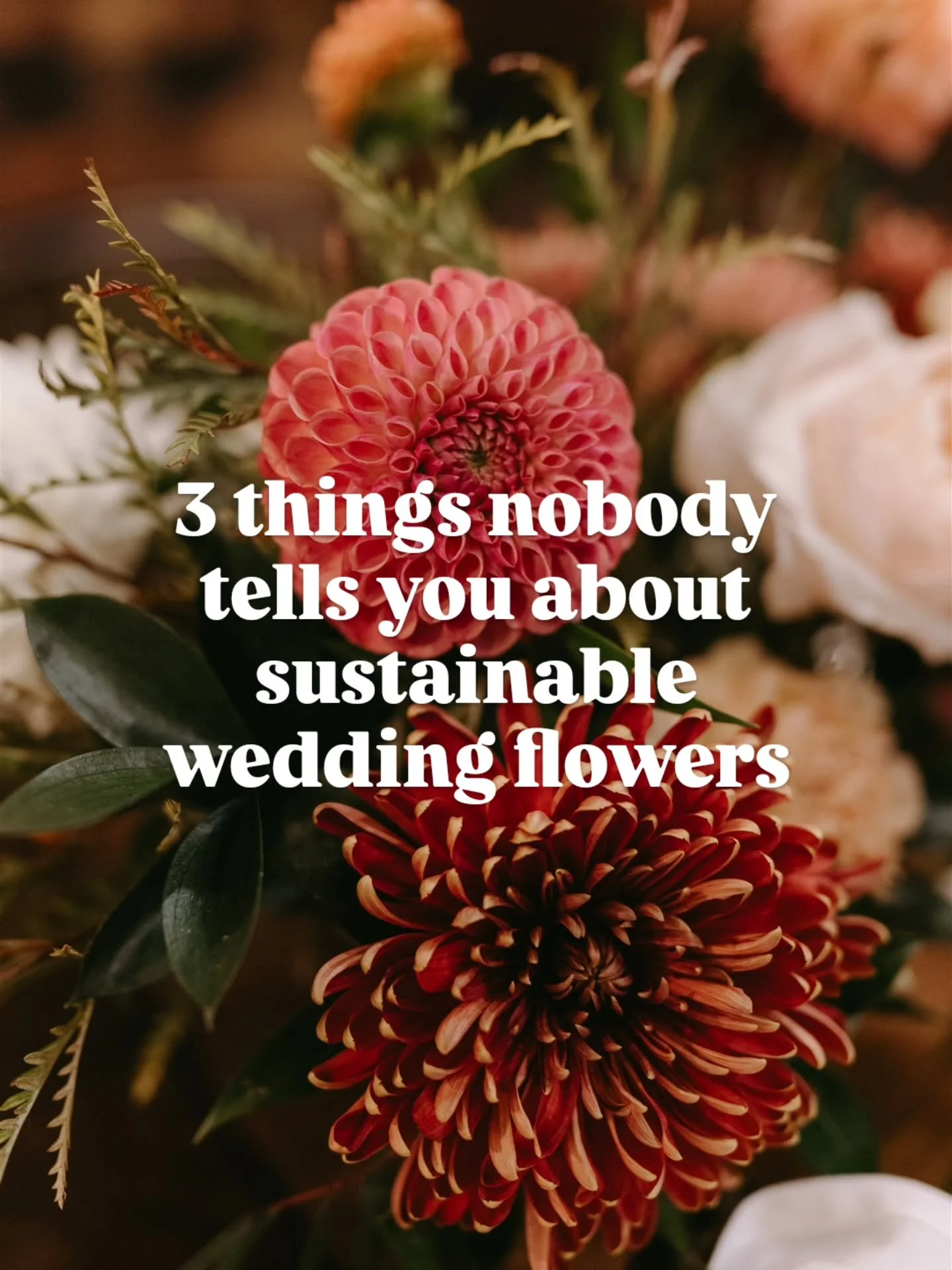 Sustainability in floral design is a practice, not a finish line. Here's what that's looked like for us so far. Questions welcome in the comments! 🌿

#sustainableweddingflowers #slowflowers #fallweddings #nycweddingflorist #brooklynweddingflorist