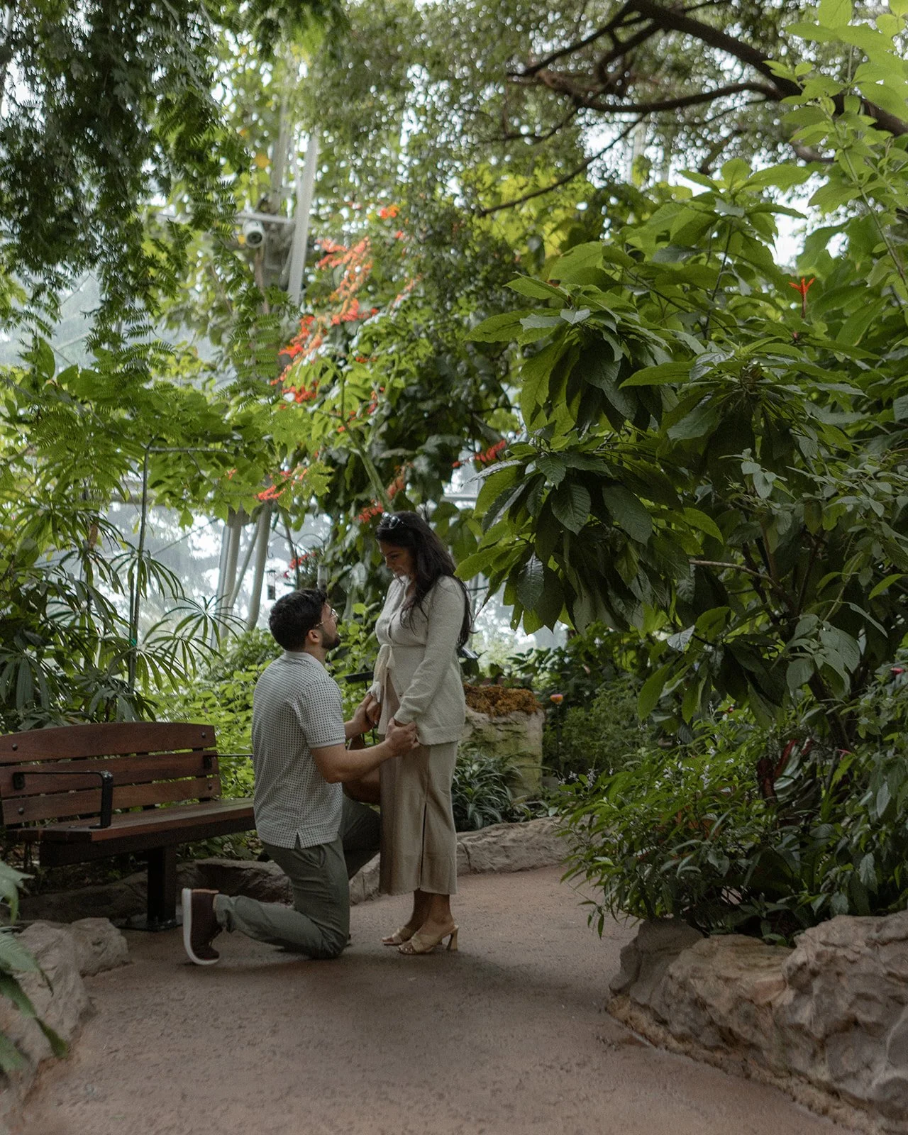 Houston Museum of Natural Science Proposal