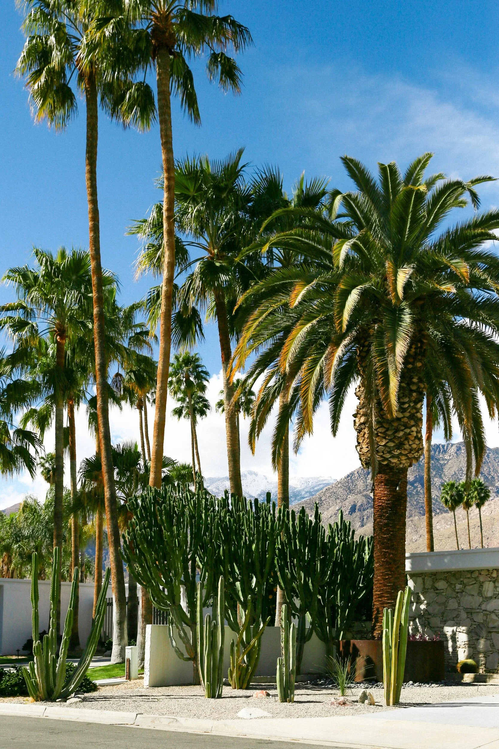 A Long Weekend Guide to South Palm Springs